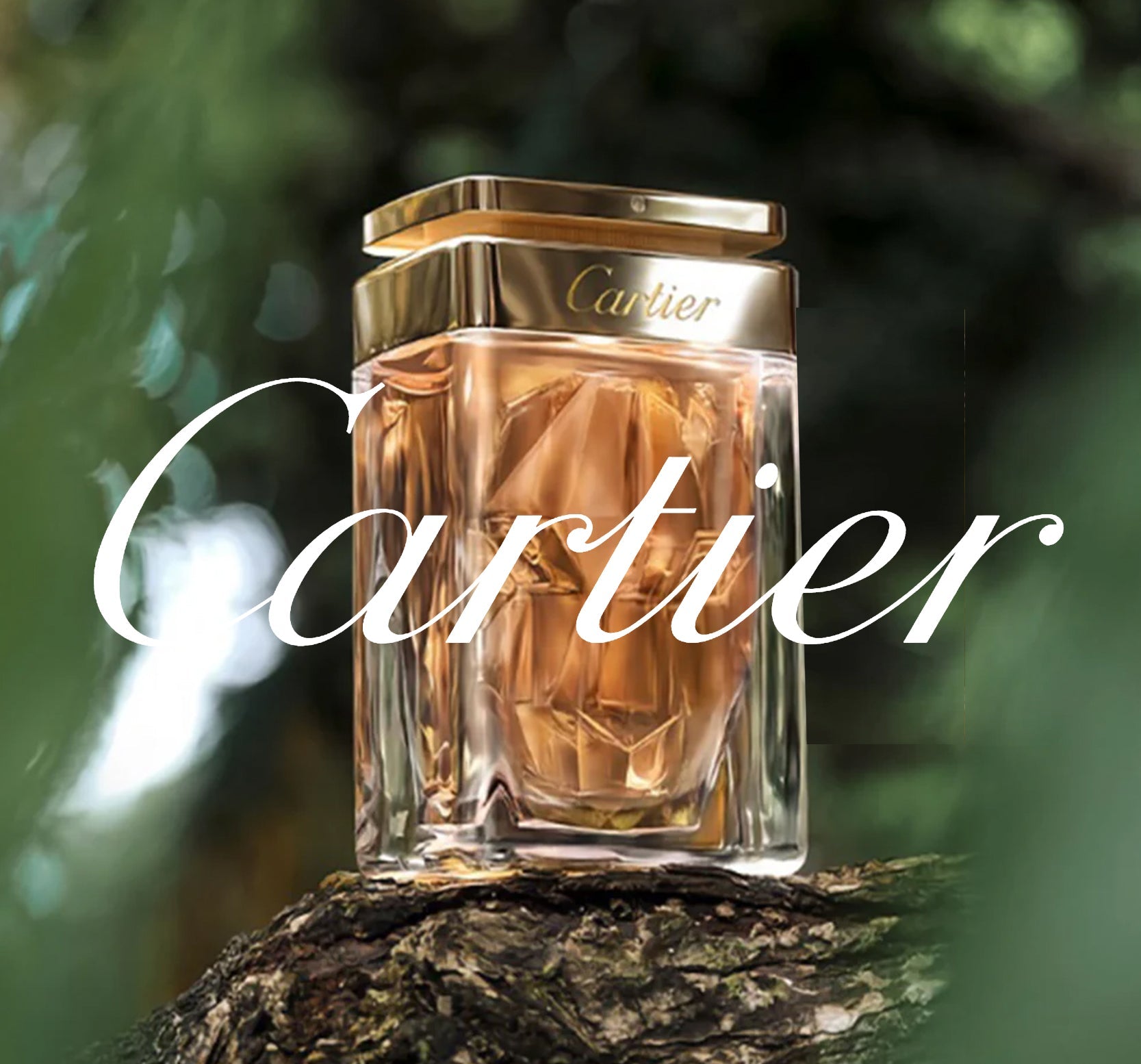 CARTIER – GAZZAZ