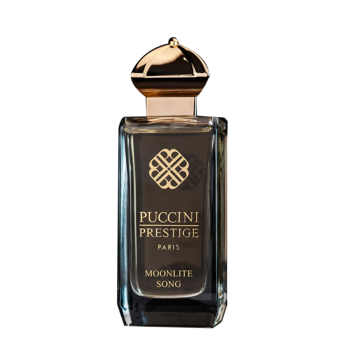 MOONLITE SONG EDP 100 ML