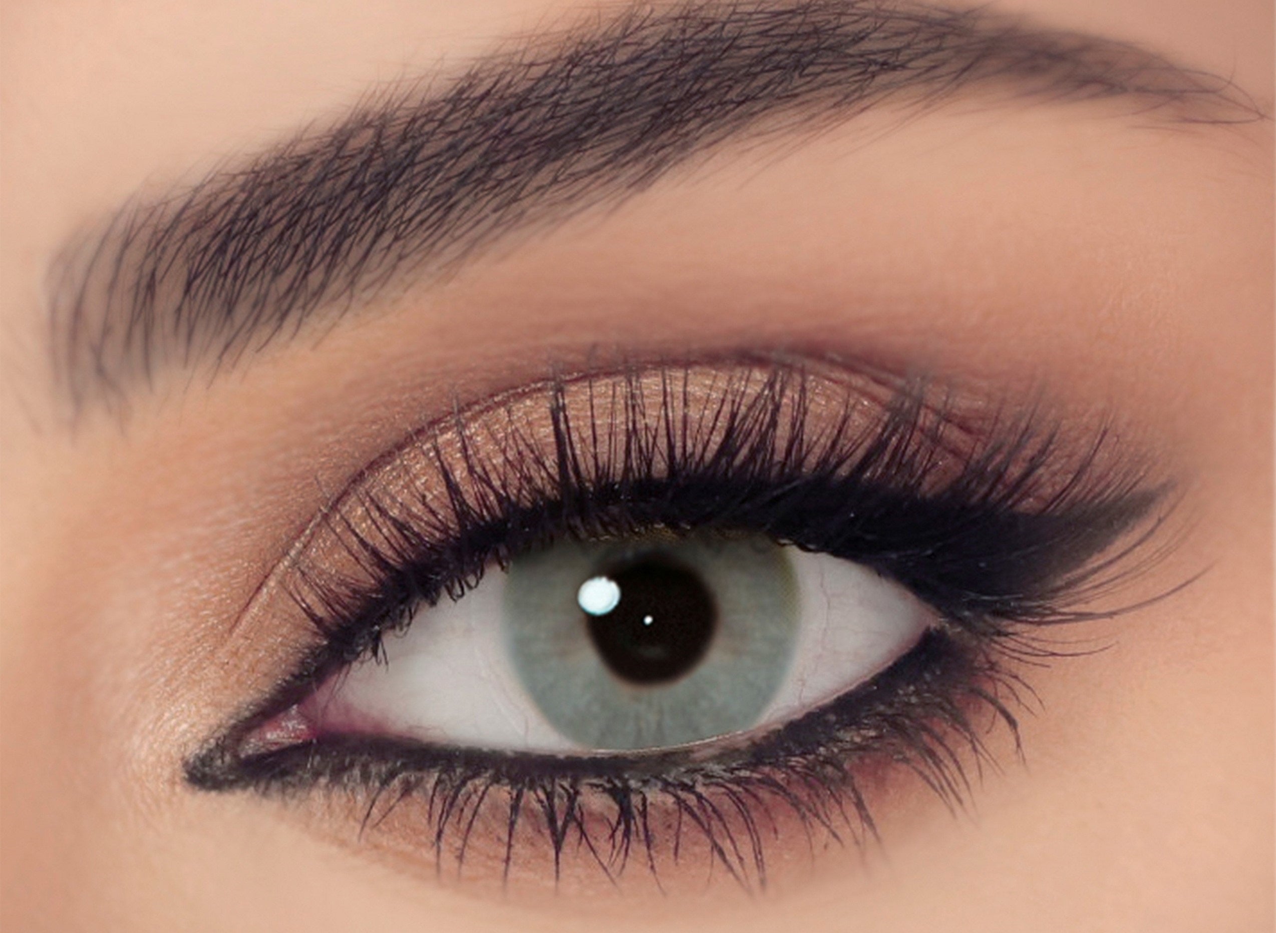 CELENA CONTACT LENS BASIL GREY FOR DAILY USE