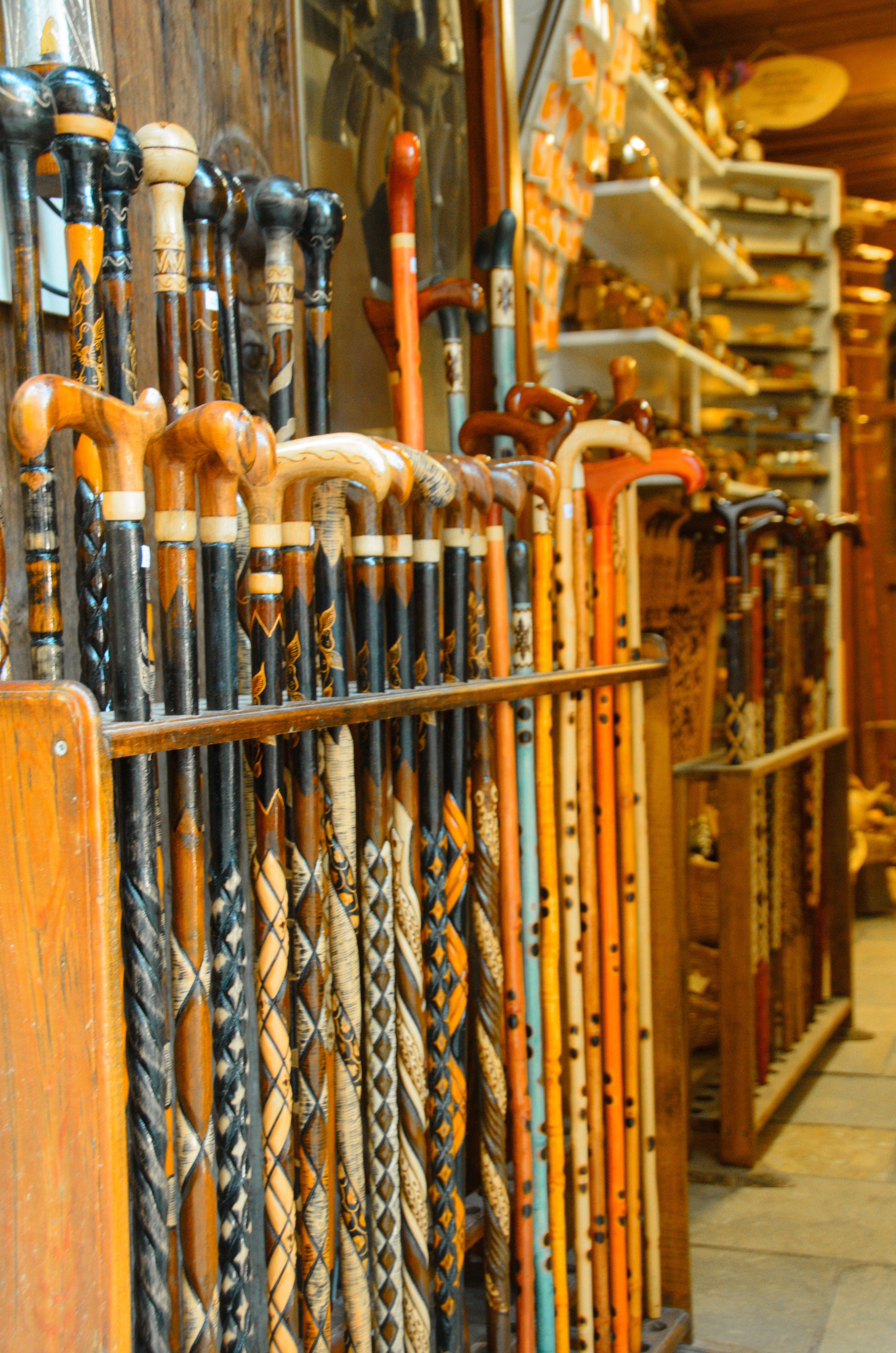 Walking Sticks