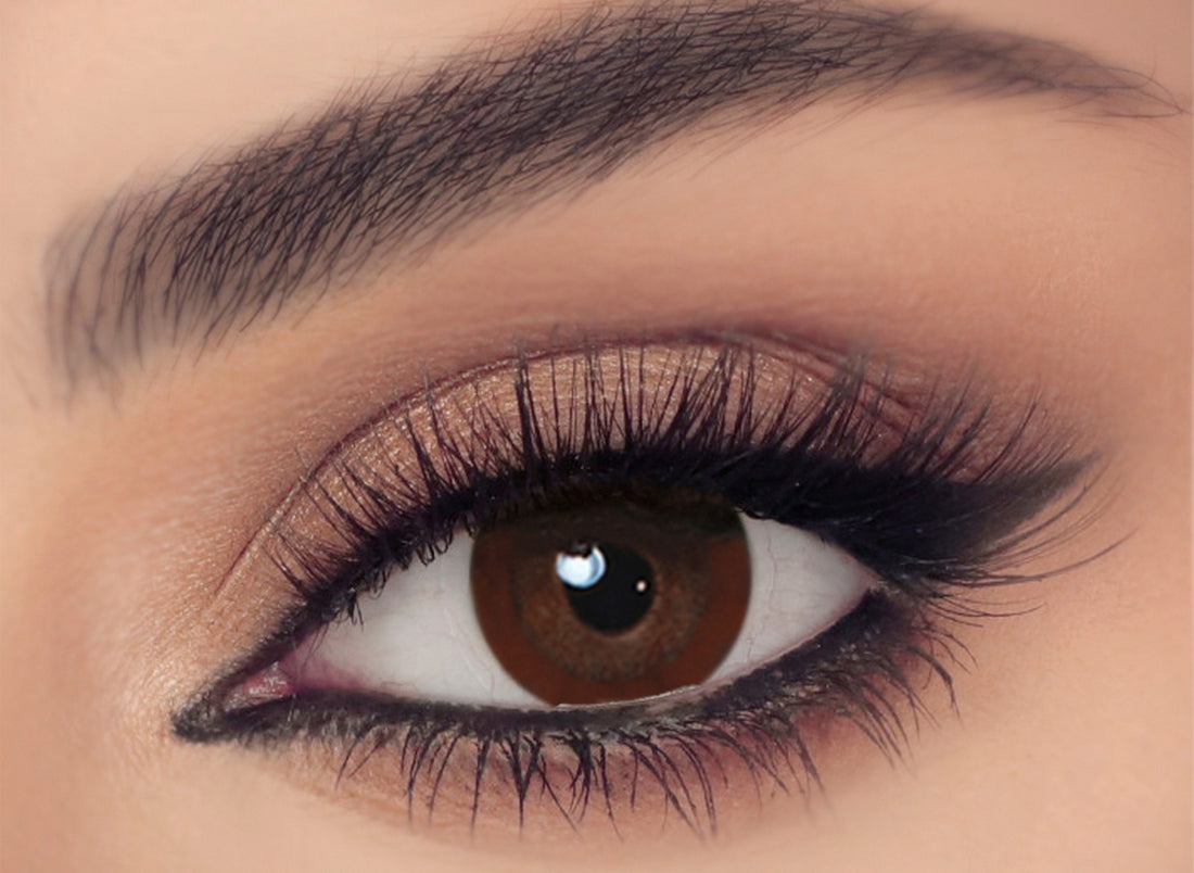 CELENA CONT LENS SOUL BROWN