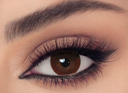 CELENA CONT LENS SOUL BROWN