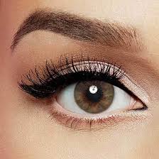 CELENA CONTACT LENS STYLISH HAZEL DAILY