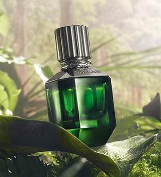 ROBERTO CAVALLI PARADISE FOUND M EDT 75ML